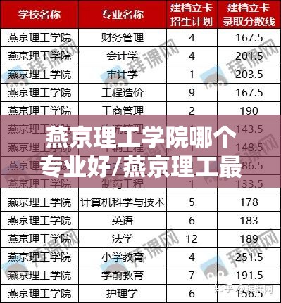 燕京理工学院哪个专业好/燕京理工最好的专业