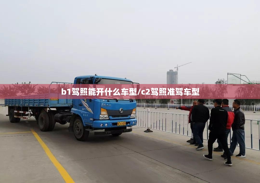 b1驾照能开什么车型/c2驾照准驾车型 b1驾照能开什么车型/c2驾照准驾车型