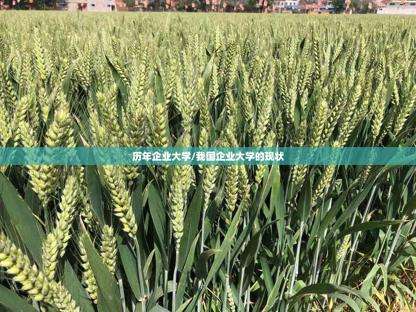 历年企业大学/我国企业大学的现状 历年企业大学/我国企业大学的现状