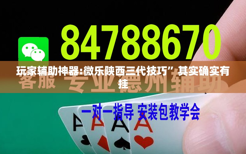 玩家辅助神器:微乐陕西三代技巧	”其实确实有挂
