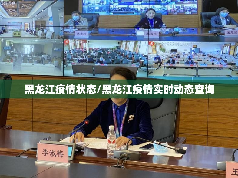 黑龙江疫情状态/黑龙江疫情实时动态查询 黑龙江疫情状态/黑龙江疫情实时动态查询
