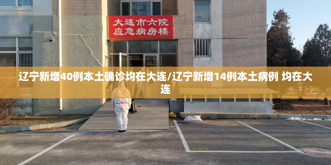 辽宁新增40例本土确诊均在大连/辽宁新增14例本土病例 均在大连 辽宁新增40例本土确诊均在大连/辽宁新增14例本土病例 均在大连