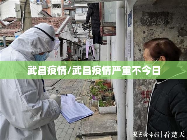 武昌疫情/武昌疫情严重不今日 武昌疫情/武昌疫情严重不今日