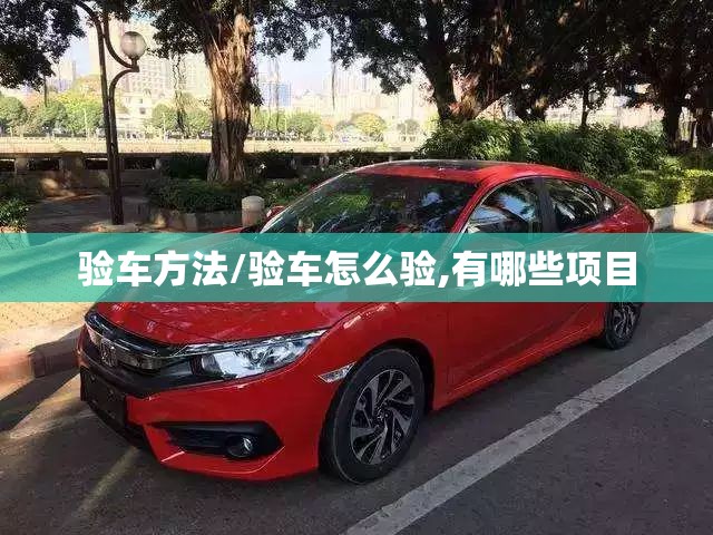 验车方法/验车怎么验,有哪些项目