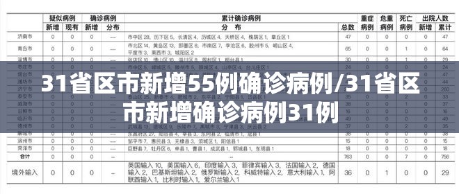 31省区市新增55例确诊病例/31省区市新增确诊病例31例