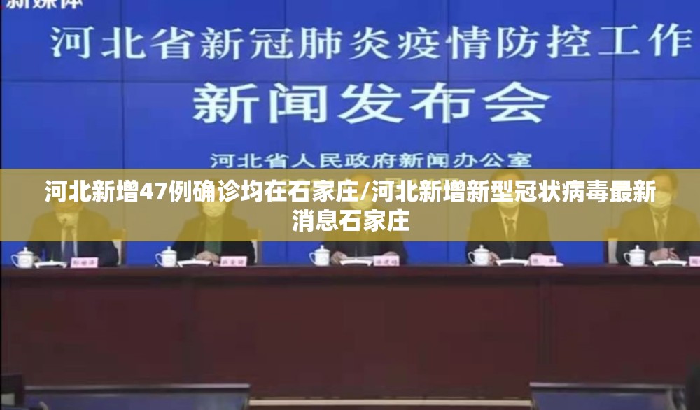 河北新增47例确诊均在石家庄/河北新增新型冠状病毒最新消息石家庄 河北新增47例确诊均在石家庄/河北新增新型冠状病毒最新消息石家庄