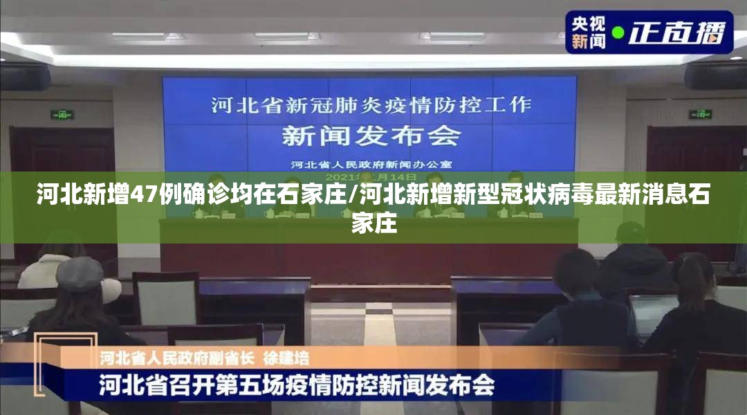 河北新增47例确诊均在石家庄/河北新增新型冠状病毒最新消息石家庄 河北新增47例确诊均在石家庄/河北新增新型冠状病毒最新消息石家庄
