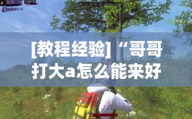 [教程经验]“哥哥打大a怎么能来好牌”开挂(透视)辅助教程