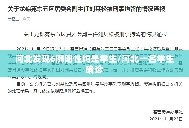 河北发现6例阳性均是学生/河北一名学生确诊