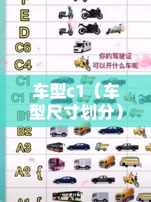 车型c1(车型尺寸划分) 车型c1(车型尺寸划分)