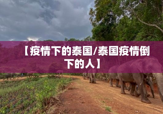 【疫情下的泰国/泰国疫情倒下的人】 【疫情下的泰国/泰国疫情倒下的人】
