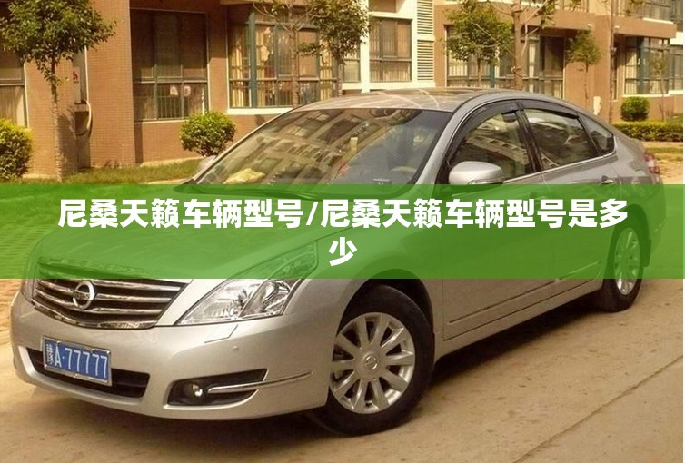 尼桑天籁车辆型号/尼桑天籁车辆型号是多少 尼桑天籁车辆型号/尼桑天籁车辆型号是多少