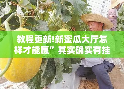 教程更新!新蜜瓜大厅怎样才能赢”其实确实有挂