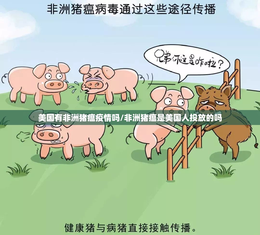 美国有非洲猪瘟疫情吗/非洲猪瘟是美国人投放的吗