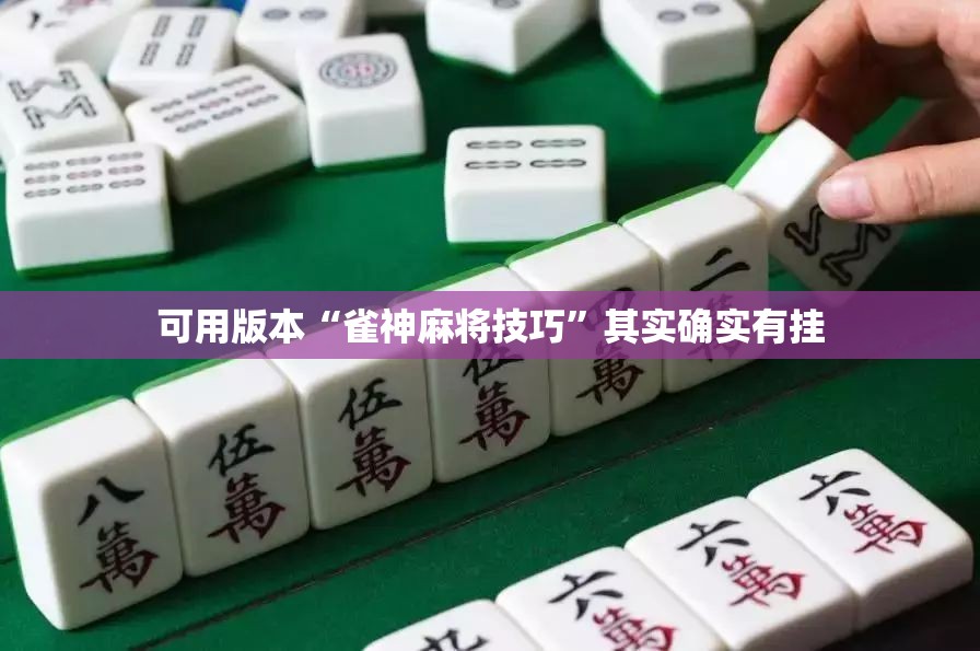 可用版本“雀神麻将技巧	”其实确实有挂
