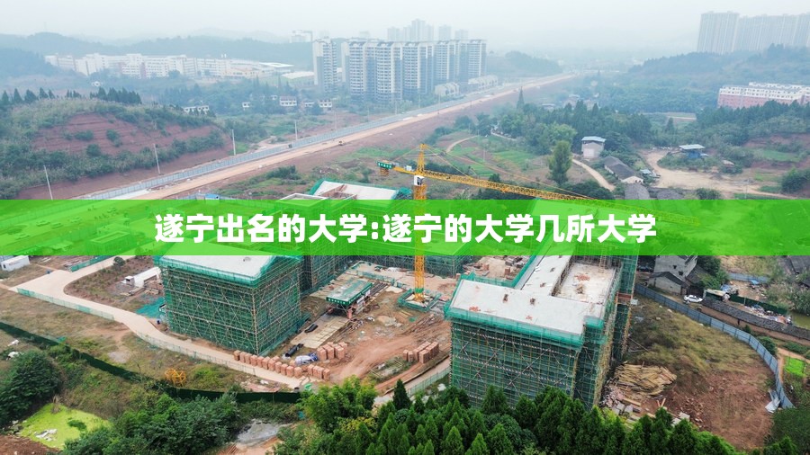遂宁出名的大学:遂宁的大学几所大学