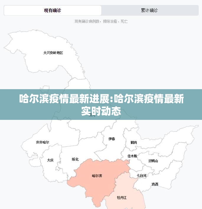哈尔滨疫情最新进展:哈尔滨疫情最新实时动态