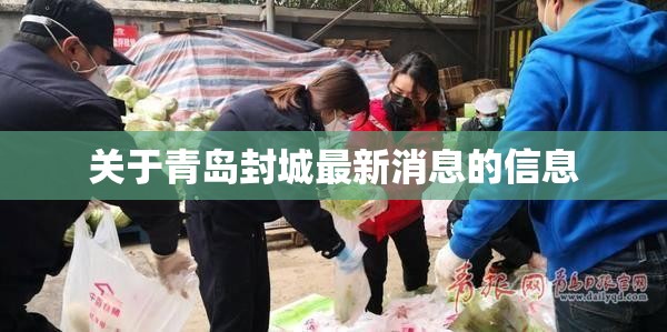 关于青岛封城最新消息的信息 关于青岛封城最新消息的信息