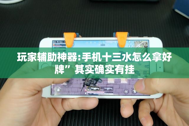 玩家辅助神器:手机十三水怎么拿好牌	”其实确实有挂