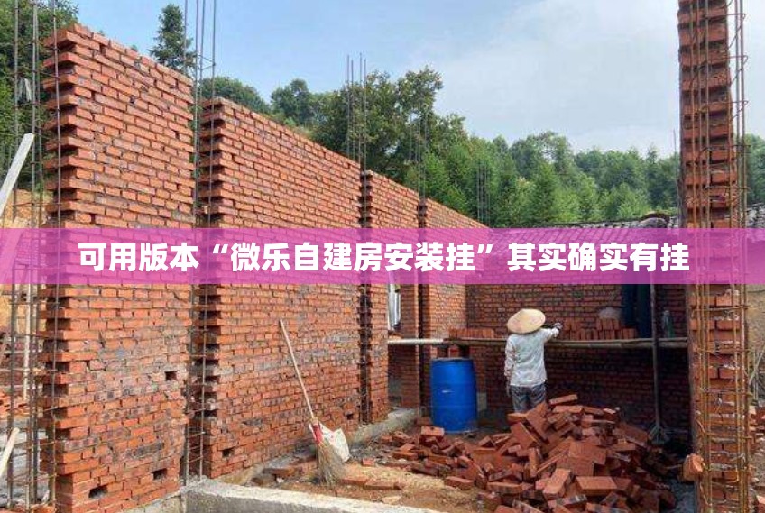 可用版本“微乐自建房安装挂”其实确实有挂