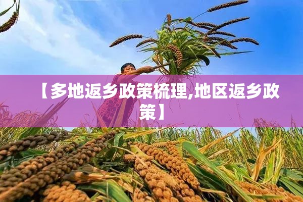 【多地返乡政策梳理,地区返乡政策】 【多地返乡政策梳理,地区返乡政策】