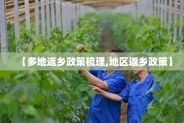 【多地返乡政策梳理,地区返乡政策】 【多地返乡政策梳理,地区返乡政策】