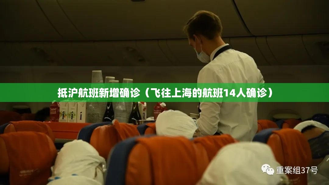 抵沪航班新增确诊(飞往上海的航班14人确诊) 抵沪航班新增确诊(飞往上海的航班14人确诊)
