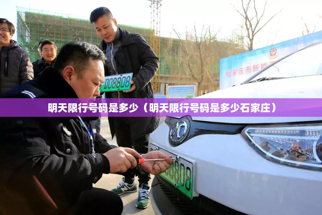 明天限行号码是多少（明天限行号码是多少石家庄）
