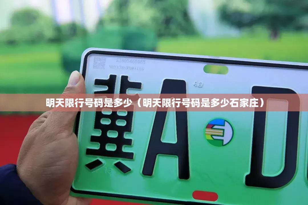 明天限行号码是多少（明天限行号码是多少石家庄）