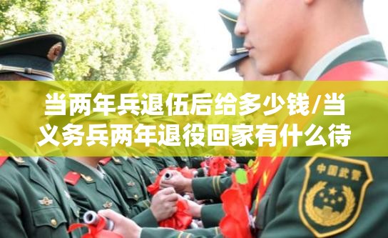 当两年兵退伍后给多少钱/当义务兵两年退役回家有什么待遇 当两年兵退伍后给多少钱/当义务兵两年退役回家有什么待遇