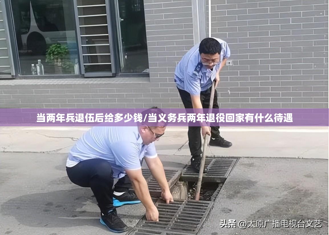 当两年兵退伍后给多少钱/当义务兵两年退役回家有什么待遇 当两年兵退伍后给多少钱/当义务兵两年退役回家有什么待遇