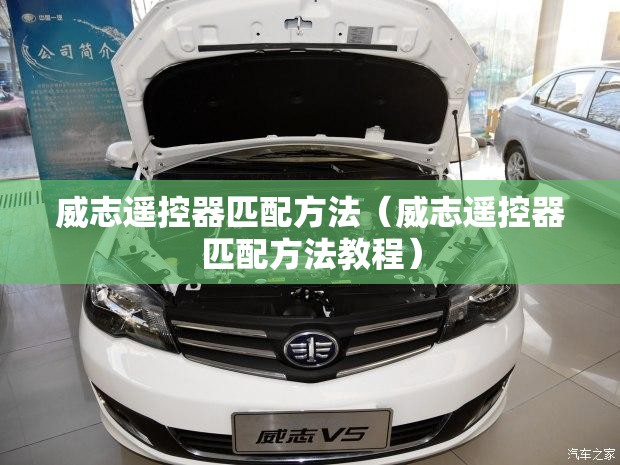 威志遥控器匹配方法(威志遥控器匹配方法教程) 威志遥控器匹配方法(威志遥控器匹配方法教程)