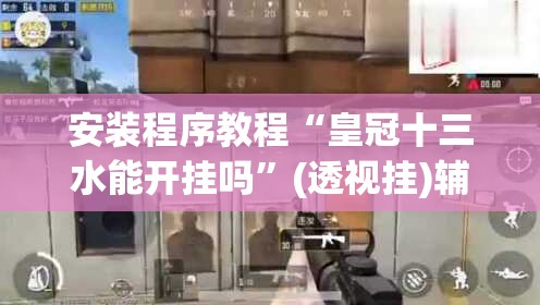 安装程序教程“皇冠十三水能开挂吗”(透视挂)辅助透视教程