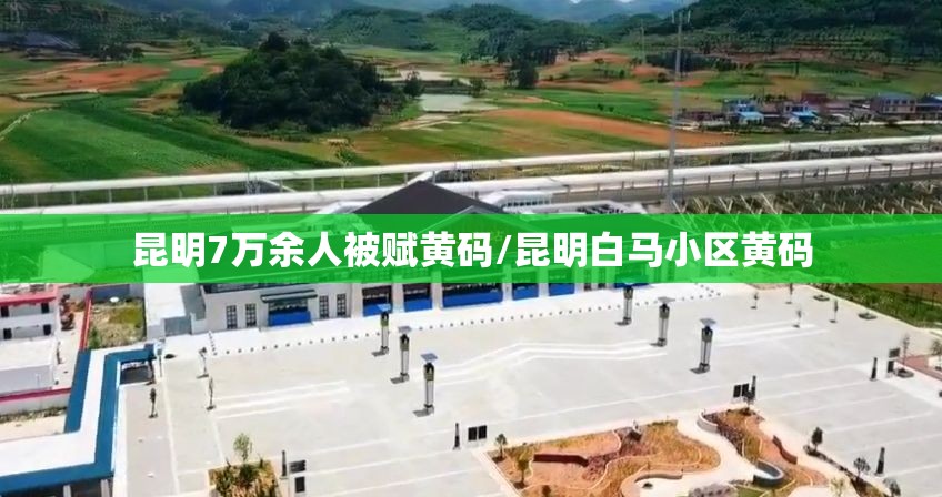 昆明7万余人被赋黄码/昆明白马小区黄码 昆明7万余人被赋黄码/昆明白马小区黄码