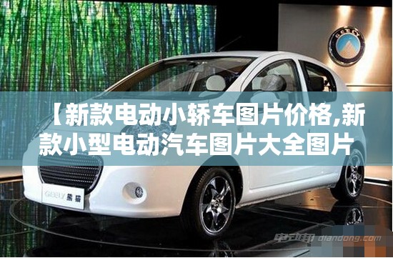 【新款电动小轿车图片价格,新款小型电动汽车图片大全图片】