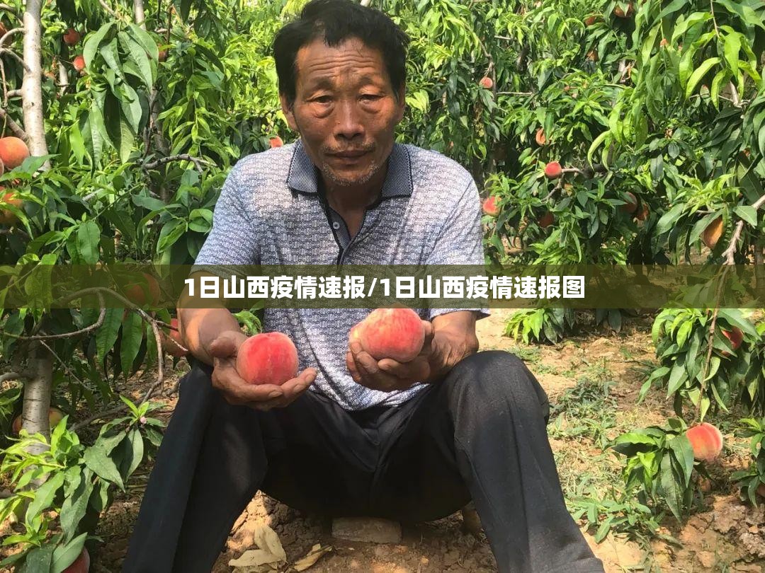 1日山西疫情速报/1日山西疫情速报图 1日山西疫情速报/1日山西疫情速报图