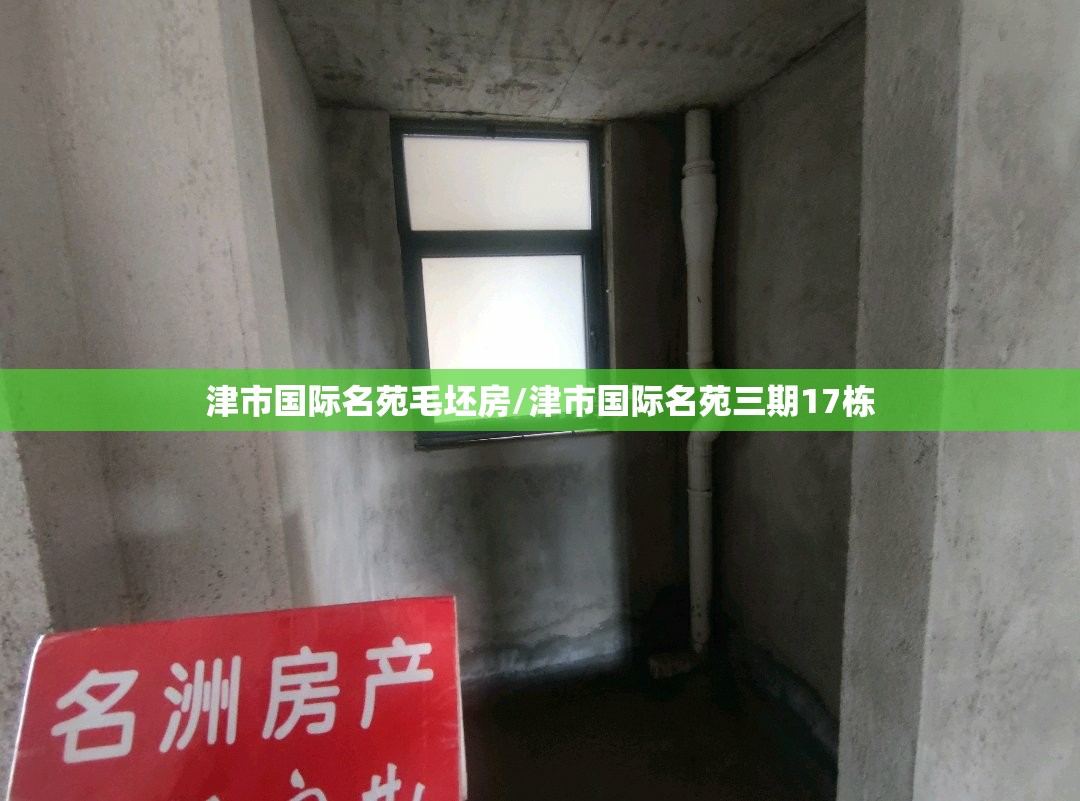 津市国际名苑毛坯房/津市国际名苑三期17栋 津市国际名苑毛坯房/津市国际名苑三期17栋