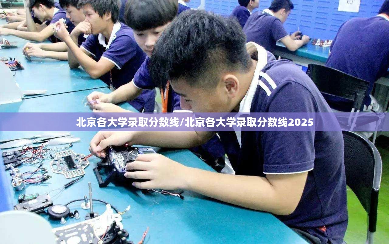 北京各大学录取分数线/北京各大学录取分数线2025 北京各大学录取分数线/北京各大学录取分数线2025