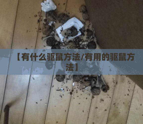 【有什么驱鼠方法/有用的驱鼠方法】