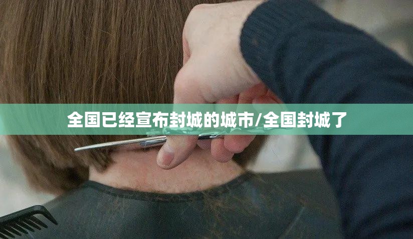 全国已经宣布封城的城市/全国封城了 全国已经宣布封城的城市/全国封城了