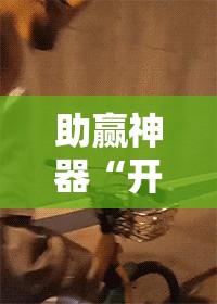 助赢神器“开心十三张开挂方法”其实确实有挂