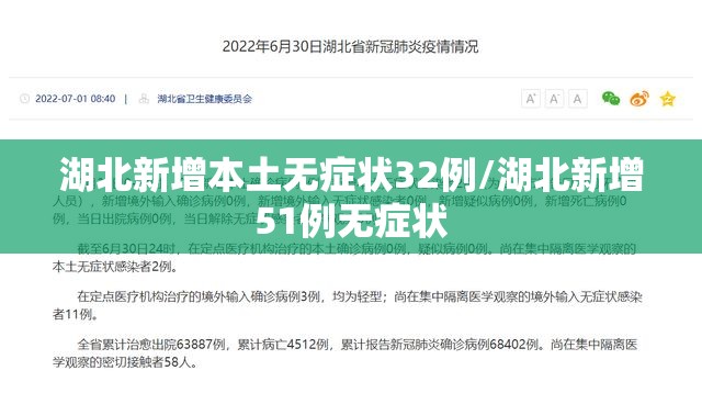 湖北新增本土无症状32例/湖北新增51例无症状