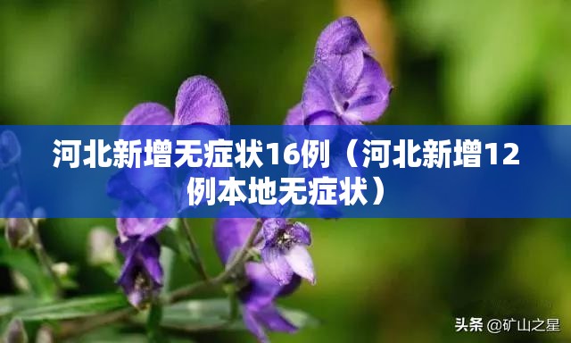 河北新增无症状16例(河北新增12例本地无症状) 河北新增无症状16例(河北新增12例本地无症状)