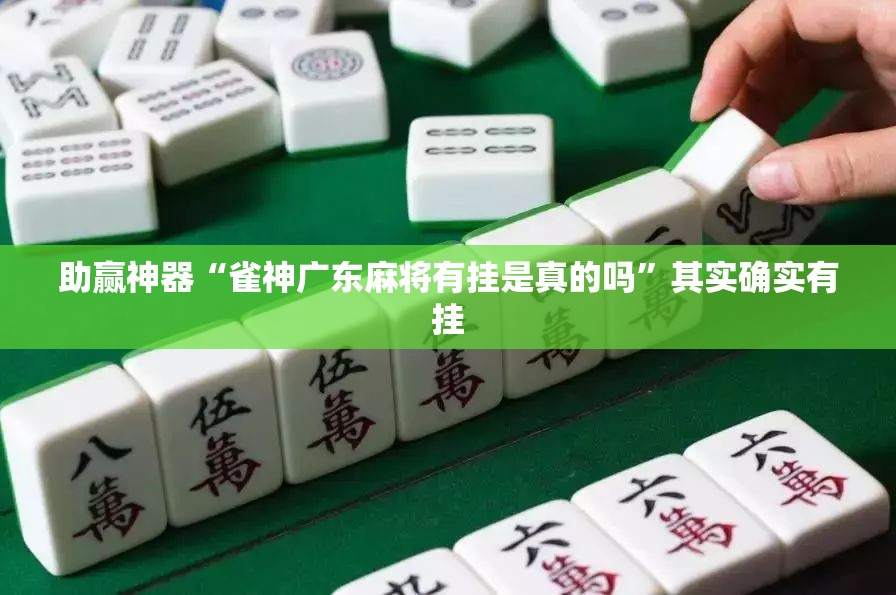 助赢神器“雀神广东麻将有挂是真的吗”其实确实有挂