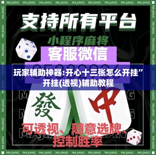 玩家辅助神器:开心十三张怎么开挂”开挂(透视)辅助教程