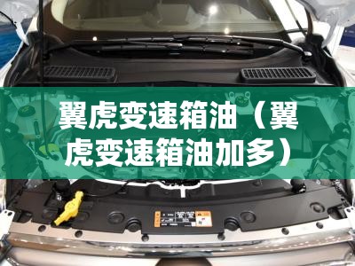 翼虎变速箱油（翼虎变速箱油加多）