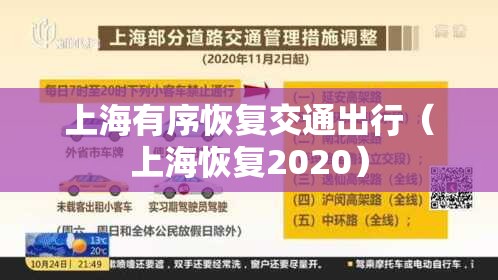 上海有序恢复交通出行(上海恢复2020) 上海有序恢复交通出行(上海恢复2020)