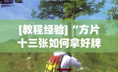 [教程经验]“方片十三张如何拿好牌”(透视挂)辅助透视教程