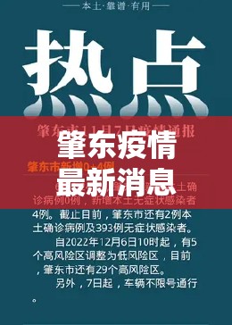 肇东疫情最新消息/肇东疫情最新通报 肇东疫情最新消息/肇东疫情最新通报