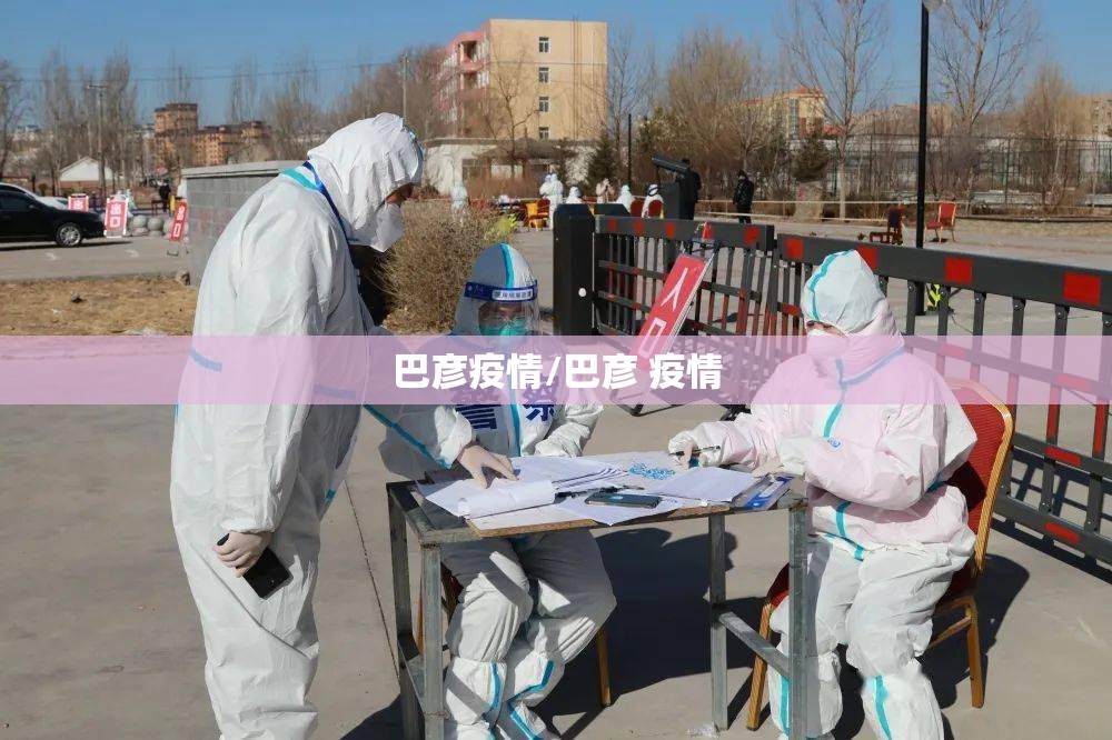 巴彦疫情/巴彦 疫情